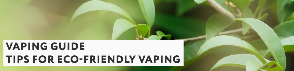 Tips for Eco-Friendly Vaping