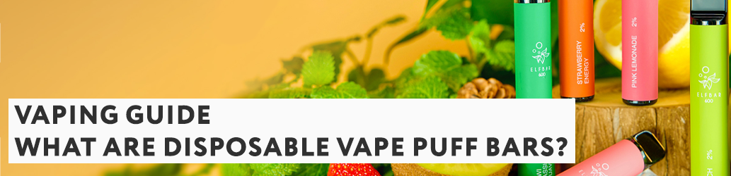 What Are Disposable Vape Puff Bars?